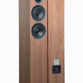 Acoustic Energy AE 309 Walnut