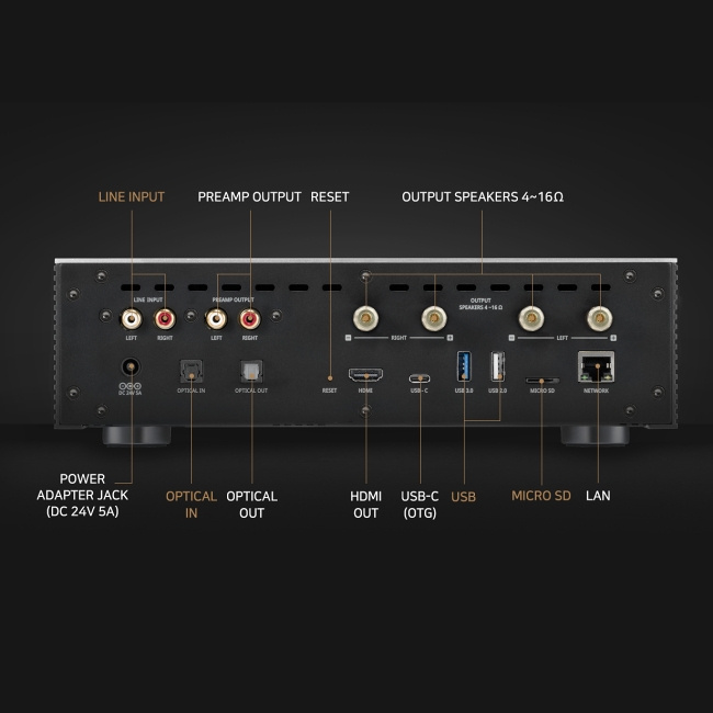 Rose (HiFi Rose) RS201e фото 3